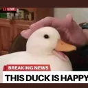 formerlordofclap