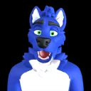 flashhound6919