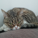 avatar 𝕎𝕣𝕒𝕥𝕙