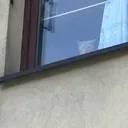 gangsterskitwardziel