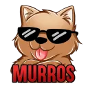 murros