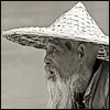 zhe71