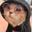 mesayscheese