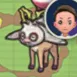 .cocojojo