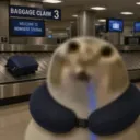 iammrpickles69