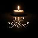 avatar 𝑻𝒉𝒊𝒔𝑹𝒐𝒙𝒚