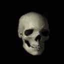 skull3411