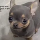 fersotf