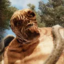 freddyxci