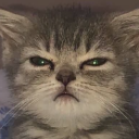 avatar 𝟙𝟛𝟙𝟚