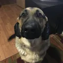 krxnosxit
