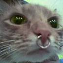 captchre#4793's avatar