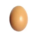 hugeh6287