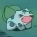 dr.kirb