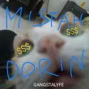 mrdorin