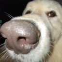 Dan66ika77 profile picture