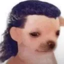 bc.nk