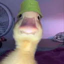 accountdeleted9687 avatar