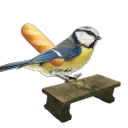 marczeslaw