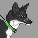 hunternorthstar#0 avatar