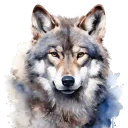 arccadon