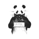 monotrippy2695
