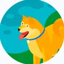 the_original_akita