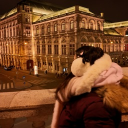 avatar ᴍᴏᴏɴʟɪɢʜᴛ ☆