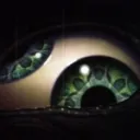 divided_eye