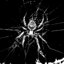 avatar VAMP STAR ⛧