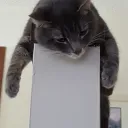 nightflaime