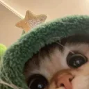 lilfoka