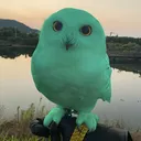 budsonic