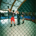 bob_sestri