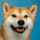 bro_dog1