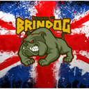 `Sgt. Brindog
