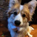 mluki