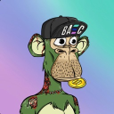 _schomi_