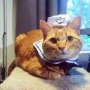 captkatnip
