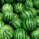 melon10900