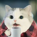 the_bc