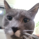 avatar Inventorsteve