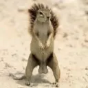 snoochieboochies419 avatar