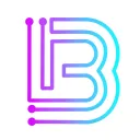 bruisr