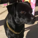raven0831