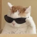 boltbtw