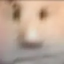 _bnx.