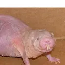 gabeeeee_