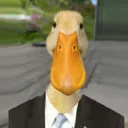 josefganim