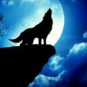 thewolf2309